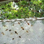 とんがり山のてっぺんDE! - 店内