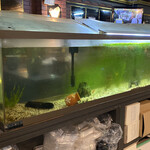 ハイウェイ食堂 - 