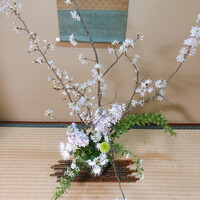 山の茶屋 - 