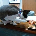 ヤオヨシ - 食べてみた