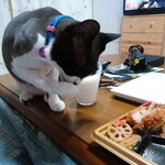 ヤオヨシ - 食べてみた