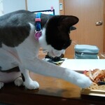 ヤオヨシ - 食べてみた