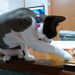 ヤオヨシ - 食べてみた