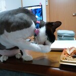 ヤオヨシ - 食べてみた