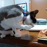 ヤオヨシ - 食べてみた