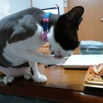 ヤオヨシ - 食べてみた