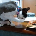 ヤオヨシ - 食べてみた