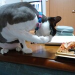 ヤオヨシ - 食べてみた