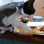 ヤオヨシ - 食べてみた