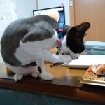 ヤオヨシ - 食べてみた