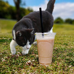 サチ カフェ - いちごのスムージー