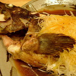 菜根譚 北海道中華 - 脂乗りの良いシマゾイ