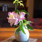 花仙庵 仙仁温泉 岩の湯 - 可憐な色合いのツツジ。館内・室内に飾られる「生花」は、圧倒的な質と量！