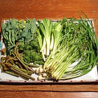 柚木元 - 山菜　　こごみ、うるい、のびる、菜の花、のらぼう菜、行者にんにく、野みつば、クレソン、セリ、わらび、かんぞう、おこぎ