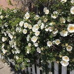 カフェひびきや - 