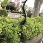 カフェひびきや - 