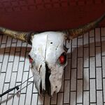 一条流がんこ総本家分家四谷荒木町 - 