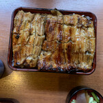 Unagi Irokawa - 