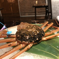 山中温泉　花紫 - 