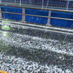 ラーメン二郎 - 突然のヒョウ