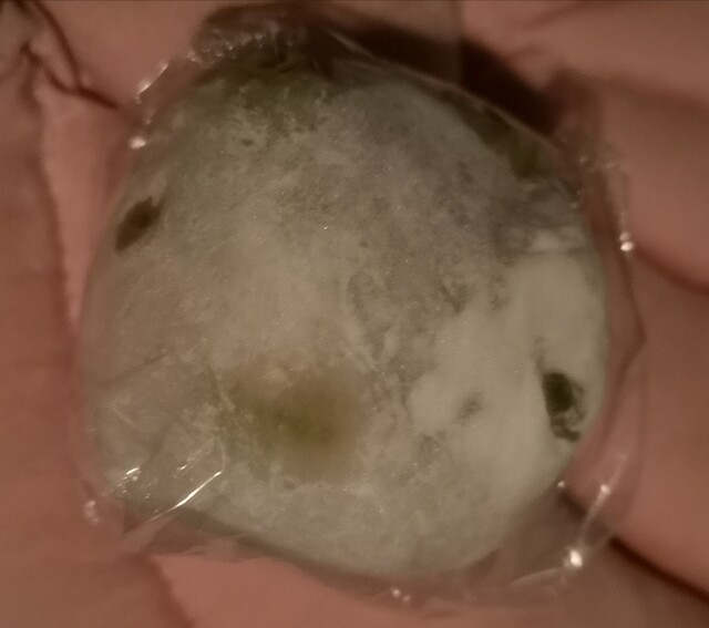 松屋菓子店 - 藤田（和菓子）の写真