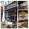 GELATERIA・3BIS ポートベロ店