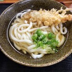 そば処平原 - 天ぷらうどん