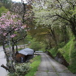 手打ちそば こばやし - 桃とすももの花咲く美しい場所