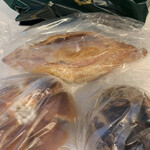 カーラ・アウレリア 大丸東京店 - 