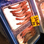 青森魚菜センター - こんな大きなエビが1枚？！