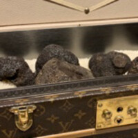 スガラボヴィー - 