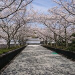 ぎょうざ 松龍軒 - えびの市「森岡城」