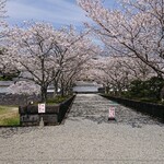 ぎょうざ 松龍軒 - 森岡城
