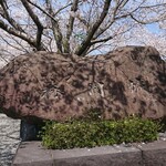 ぎょうざ 松龍軒 - 森岡城