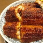 炭焼うな富士 - うな丼
