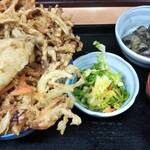 Tempura Hoshino - 