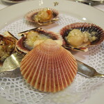 Parador de Leon - 稚貝でした