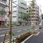 煮干し中華そば 一剣 - 駅前通りの桜がこんな苗木になってしまった