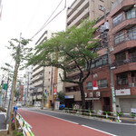 煮干し中華そば 一剣 - このような大樹になるのは何十年後？