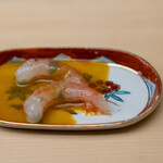 Sushi Kibatani - 富山湾の甘海老