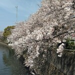 とんかつ 栄ちゃん - 