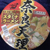 奈良天理ラーメン天風 豊川店