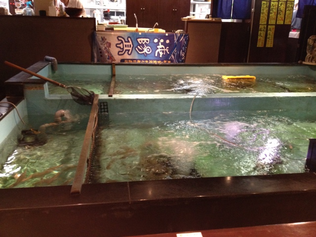 閉店 海陽亭 鶴山公園店 津山 魚介料理 海鮮料理 食べログ 閉店 海陽亭 鶴山公園店 津山 魚介料理 海鮮料理 食べログ