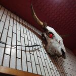 一条流がんこ総本家分家四谷荒木町 - 