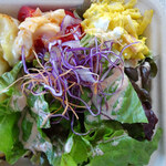 リコプラス - グラタンBOX