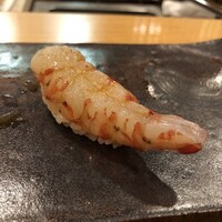 鮨 いとう - 車海老