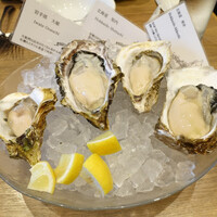 Oysterbar&Wine BELON 渋谷店 - 生牡蠣付きランチコース（2080円）