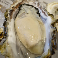 Oysterbar&Wine BELON 渋谷店 - 北海道知内産