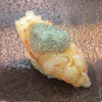 すし匠 - 牡丹海老 握り