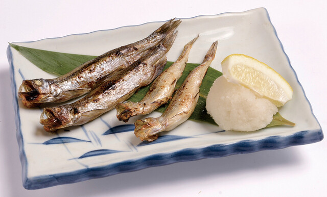 まるとも水産 - 釧路（居酒屋）の写真